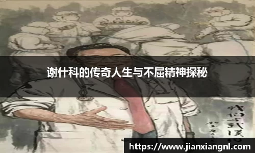 金彩汇