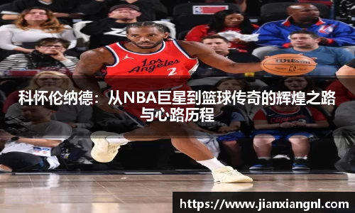 金彩汇app